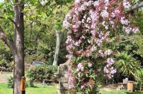 Domaine de Capoulade - photo 5