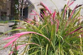 Domaine de Capoulade - photo 14