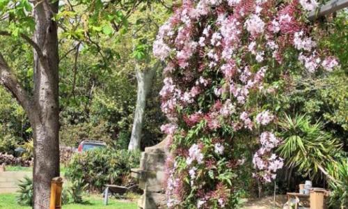 Domaine de Capoulade - photo 2