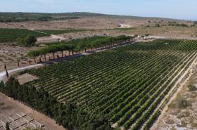 Château Catherine de Montgolfier - photo 9