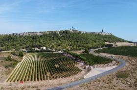 Château Catherine de Montgolfier - photo 8