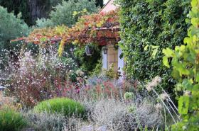 Château Catherine de Montgolfier - photo 17