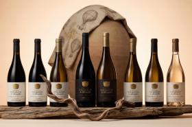 Château Catherine de Montgolfier - photo 11