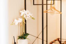 Château Catherine de Montgolfier - photo 22