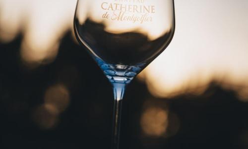 Château Catherine de Montgolfier - photo 3