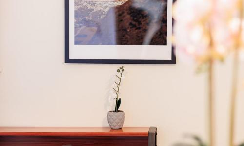 Château Catherine de Montgolfier - photo 2