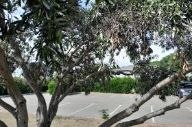 Fasthotel Narbonne - photo 6