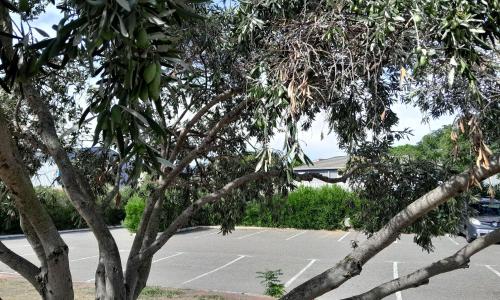 Fasthotel Narbonne - photo 3